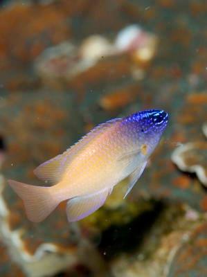 �����@�΍�